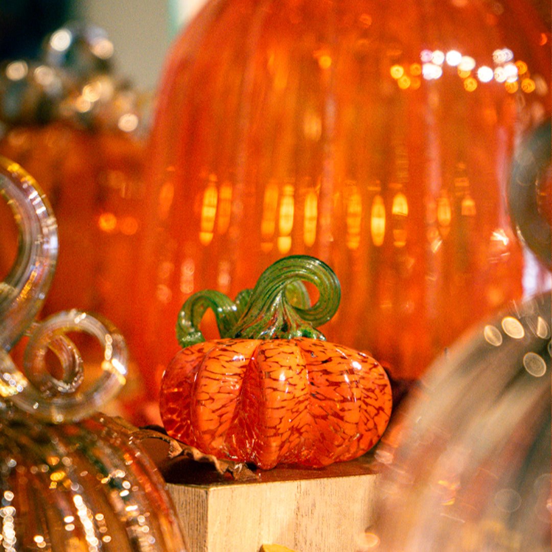 Mini Pumpkins