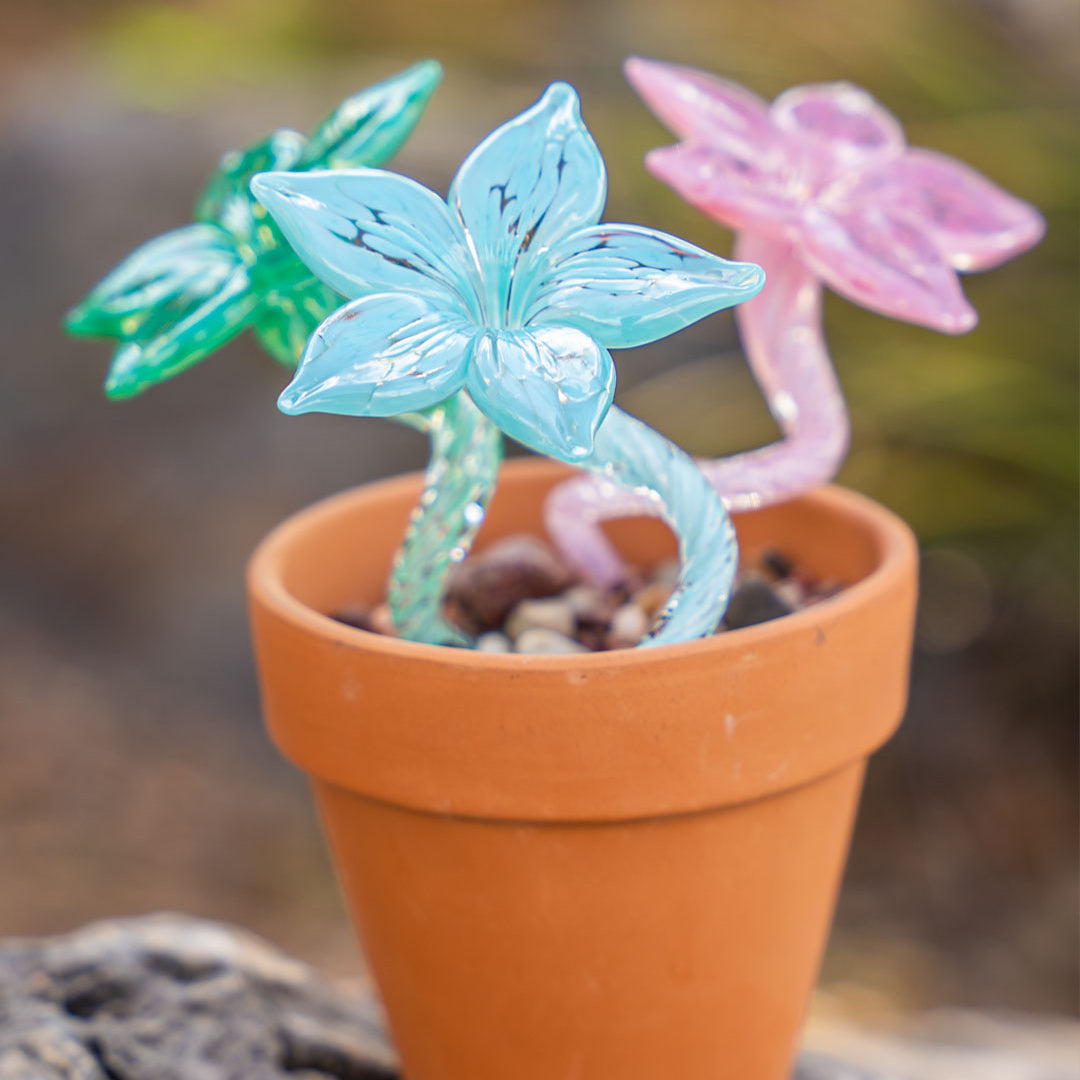 Spring Handblown Glass Collection – Wimberley Glassworks Store